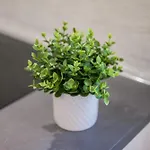 Turrini مودينا